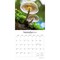 Magic Mushrooms | 2026 12 x 24 Inch (Hanging) Monthly Square Wall Calendar | Plastic-Free